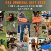 A collage of various dogs interacting with orange and blue GIZZY® brand dog toys. Produktbild-Vorschau