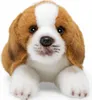 Carl Dick Beagle cca 20cm, plyšová hračka, plyšová hračka, Náhľad obrázku produktu 3