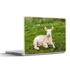 MuchoWow® Laptop Aufkleber Sticker Cover Schafe - Tiere - Produktbild-Vorschau 1