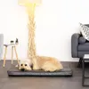 lionto Hundematte orthopädisch, druckentlastende Produktbild-Vorschau 2
