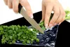 Hands chopping green onions on a black surface. Náhľad obrázku produktu