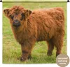 MuchoWow® Wandteppich Wandbehang Schottisches Hochlandrind Produktbild-Vorschau 1