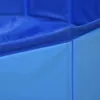 A close-up view of the corner of a blue foldable dog pool. Voir les images du produit