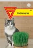 Katzengras Produktbild-Vorschau 1