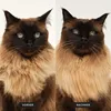Tangle Teezer Pet Teezer Katzenbürste – Für Katzen mit Produktbild-Vorschau 6