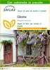 SAFLAX  - Glicine  - 4 semi - Con substrato - Wisteria Anteprima dell’immagine prodotto 1