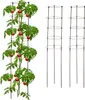 Podpera na rajčiny 3 ks, RD49281, 150cm Náhľad obrázku produktu 1