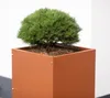 Donica metalowa Herstera "Cube" prostokątna rdzawa 50 x 50 Podgląd zdjęcia produktu 3