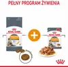 ROYAL CANIN Hair & Skin Care - nassfutter für Katzen - Produktbild-Vorschau 10