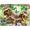 Educa - Rodina leňochodov 500 dielikov puzzle Náhľad obrázku produktu 1