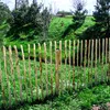 A wooden fence made of thin, upright stakes is shown in a grassy area with trees in the background. Produktbild-Vorschau