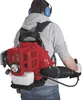 Scheppach LB5200BP Staubsauger de Klingen 295 kmh Schwarz, Produktbild-Vorschau 15