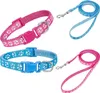 2 Stück Welpenhalsbänder mit Leine Set, Hundehalsband und Produktbild-Vorschau 1