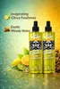 Pro Rapid Tattoo Inca - 02 After Shave Perfumed Barber Produktbild-Vorschau 9