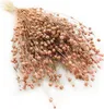 Flachs Getrocknete - (Leinen) - Hellrosa Produktbild-Vorschau 1