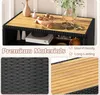 Armadio da giardino in rattan KOMFOTTEU, credenza con piano Anteprima dell’immagine prodotto 4