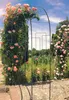KADAX mříž "Atri", oblouk z růží, 250 cm, pergola černá Náhled obrázku produktu 9