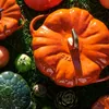 Staub Pumpkin Cast Iron Pot - Cinnamon  3.45 ltr Produktbild-Vorschau 6