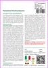 SAFLAX  - Pomodoro Pink Brandywine - 10 semi - Con Anteprima dell’immagine prodotto 3
