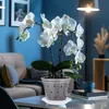Garten Lux 10er Set Orchideentöpfe Transparente Ø17cm 1.5L Produktbild-Vorschau 2
