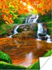 MuchoWow® Poster Natur - Wasserfall - Steine - Moos - Produktbild-Vorschau 1