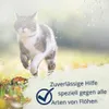 200 ml IPERON® Flohschutz Shampoo Produktbild-Vorschau 4