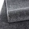 Kurzflor Teppich Alberto rechteckig, Farbe: Grau, Produktbild-Vorschau 5