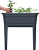 Hands planting a strawberry plant in a raised garden bed. Produktbild-Vorschau