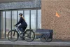 Qeridoo Qubee XL Cargo / Lastenanhänger, Farbe:Grey Produktbild-Vorschau 10