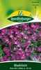 Blaukissen, Rosa-rot Produktbild-Vorschau 5