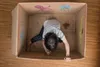 A child is drawing inside a cardboard box decorated with drawings of sea creatures. Anteprima dell’immagine prodotto