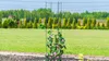 KADAX Pergola Ogrodowa Kolumna Na Kwiaty Róże 120 cm Podgląd zdjęcia produktu 8