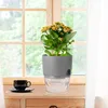 Kräutertopf Küche Set Fensterbank selbstbewässernd-3er Set Produktbild-Vorschau 5