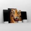 Bild auf Leinwand - Leinwandbild - tiger tier - 120x70cm - Produktbild-Vorschau 4