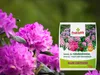 Fruktovit Dünger für Rhododendren, Hortensien und andere Produktbild-Vorschau 3