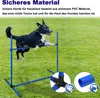 A dog jumping over a blue agility hurdle in a grassy field. Náhled obrázku produktu
