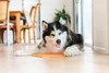 LickiMat Buddy likmat voor honden, kleur: roze, afmetingen: Productafbeelding-voorbeeld 17