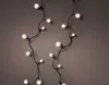 Lumineo LED Fata Cherry 900 cm 120 LED bianco caldo Anteprima dell’immagine prodotto 4