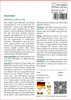 SAFLAX - Steinklee - Melilotus officinalis - 250 Samen Produktbild-Vorschau 3