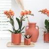 Kolibřík Phalaenopsis Orchid Mineral Bolzano, oranžová - Náhled obrázku produktu 3