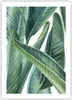 Poster - Poster ohne Rahmen - Exotisch Blätter Grün - 50x70 Produktbild-Vorschau 1