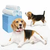 50 Stück Trainingsunterlagen 90 x 60 cm für Hunde Welpen Produktbild-Vorschau 1