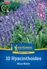 Kiepenkerl Herbstblumenzwiebel Profi-Line Hasenglöckchen Produktbild-Vorschau 1