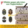 Green Guardia Teppichkäfer Falle mit Spezial-Lockstoff – Produktbild-Vorschau 2