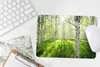 MuchoWow® Mauspad Mousepad Birke - Wald - Frühling 27x18 cm Produktbild-Vorschau 4