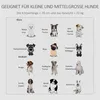 Verriegelbare Transportbox für kleine und mittelgroße Hunde Produktbild-Vorschau 4