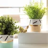 Two potted plants with decorative planters and a golden origami butterfly on a white surface. Produktbild-Vorschau
