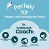 Coachi Target Stick, Teleskop-Design, Hundezubehör für Produktbild-Vorschau 7