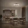 Philips Amigo Flat Leuchte mit Ventilator IR RD 25W+60W WH Produktbild-Vorschau 3