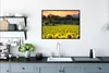 MuchoWow® Gerahmtes Poster Sonnenblume - Natur - Berg 80x60 Produktbild-Vorschau 3